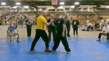 Tai Chi Push Hands at the Martial Arts World Games