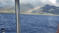 Woman Filming Rainbow in Maui Almost Misses Humpback Whale Breach