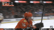 Happy Anaheim Ducks GIF by NHL