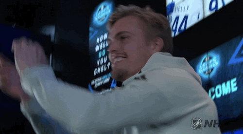 happy ice hockey GIF by NHL