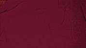 College Baseball GIF by Pearl River Athletics
