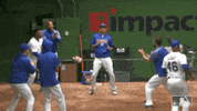 Chicago Cubs GIF by MLB