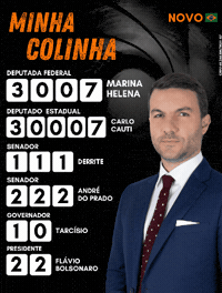 Bolsonaro Deputado GIF by MarinaHelenaBR