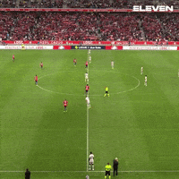 Football Win GIF by ElevenSportsBE