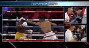 toprank boxing fighting espn fighters GIF