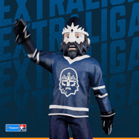 Hockey Hokej GIF by Tipsport extraliga