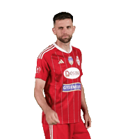 Liga 1 Football Sticker by Superliga Romania