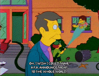 Season 2 GIF by The Simpsons