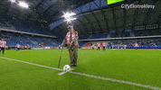 GIF by Ekstraklasa
