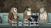 mark duplass cats GIF by Animals