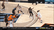 gostanford  GIF