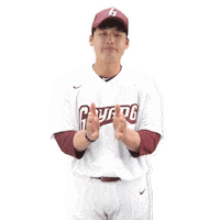 키움히어로즈 Sticker by Kiwoom Heroes Baseball Club
