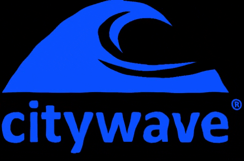 citywave giphygifmaker fun surf surfing GIF