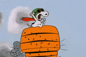 Charlie Brown Halloween GIF by Peanuts