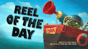 Angry Birds Toons Instagram GIF