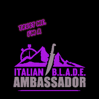Italianblade workout training spartan endurance GIF