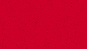 Leon Radosevic Center GIF by FC Bayern Basketball