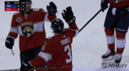 ice hockey hug GIF by NHL