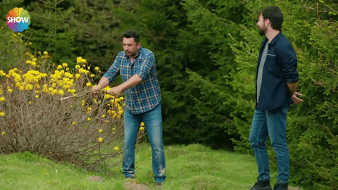 Sefer GIF by Show TV