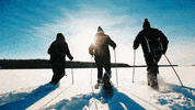 TravelManitoba travel snow winter manitoba GIF