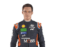 Thierry Neuville Hyundai Sticker by FIA World Rally Championship