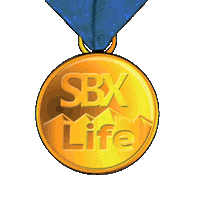 Winner Winning Sticker by SBXLife