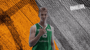 Sport Basketball GIF by Basket_fi