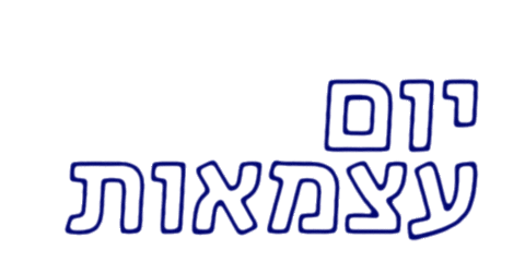 Day Fireworks Sticker
