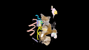 world vr GIF