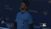 Regular Season Baseball GIF by MLB