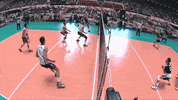 Usa Reaction GIF by Volleyball World