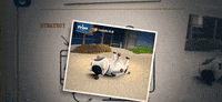 GIF by saysdotcom