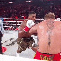 Jake Paul Boxing Knockout GIF