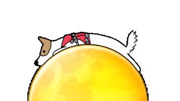 Dog Sticker