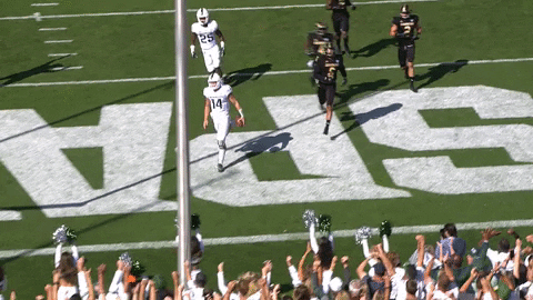Celebrate College Football GIF by Michigan State Football