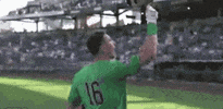 Notre Dame Baseball GIF by NCAA Championships