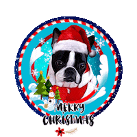 Merry Christmas Sticker by Pimp Yo Pets