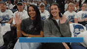 Nba Playoffs Wave GIF by NBA
