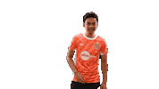 Football Spl Sticker by HGFC