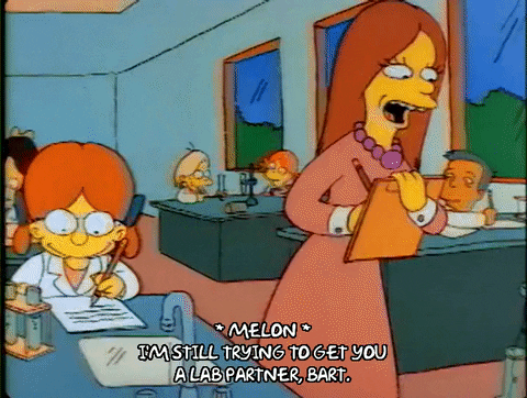Season 1 Cecile Shapiro GIF by The Simpsons