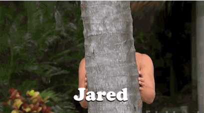 Bachelor In Paradise Jared Haibon GIF by Bustle