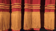 thinking shakespeare GIF by Harlem Globetrotters