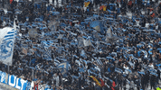 Fans Dodgers GIF by Olympique de Marseille