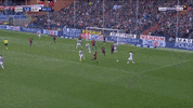 pandev GIF by nss sports