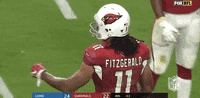 Regular Season Football GIF by NFL