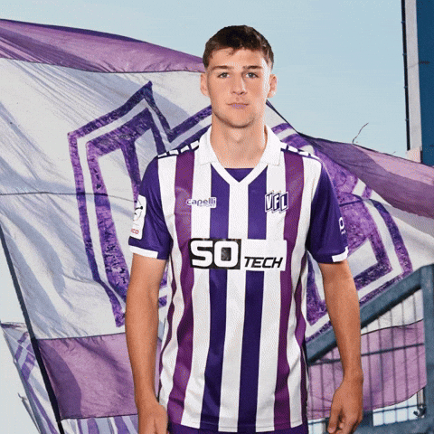 Tor Sieg GIF by VfLOsnabrueck