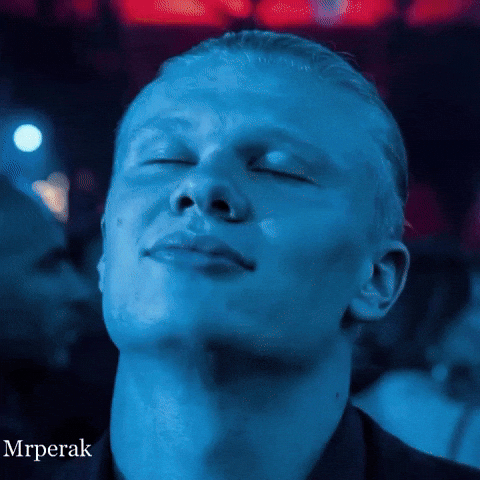 Premier League Norway GIF