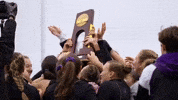 Field Hockey Ncaa GIF by Northwestern Athletics