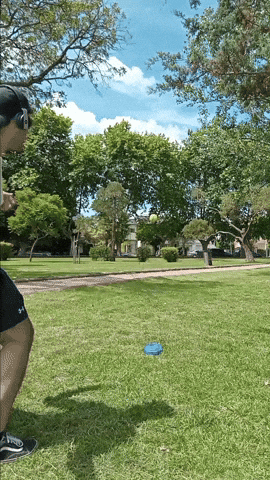 nahueldiazf1552740ac4246eabbaf132b1d6caad4 giphyupload GIF
