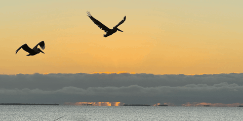 frikdemeyere giphygifmaker giphyattribution GIF